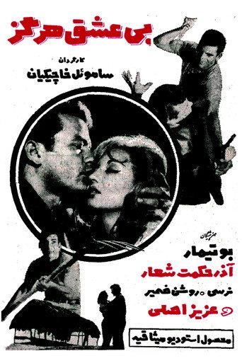 Never Without Love (1966) poster