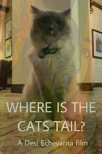 Where Is The Cat's Tail? () poster