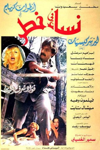 Women In Danger (1981) poster