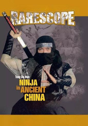 Ninja in Ancient China (1993) poster