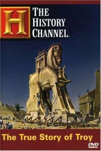 The True Story of Troy: Ancient War (2004) poster