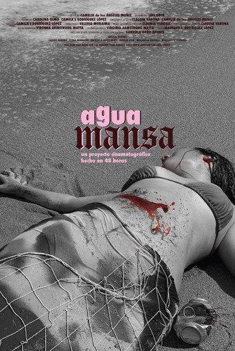 Agua Mansa () poster