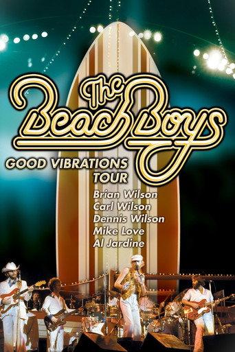 The Beach Boys: It's OK (1976) poster