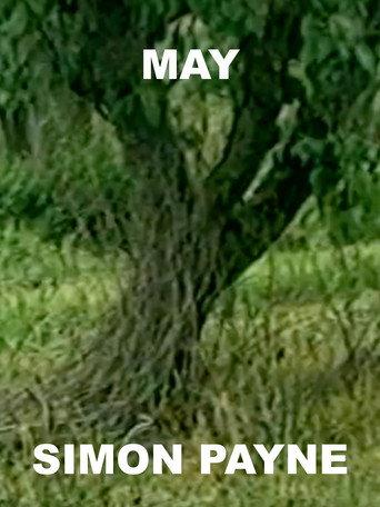 May (1998) poster