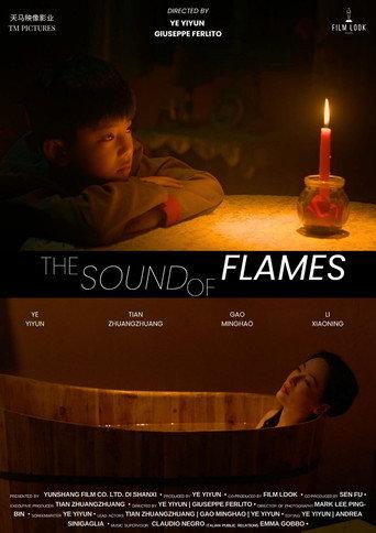 The Sound of Flames () poster