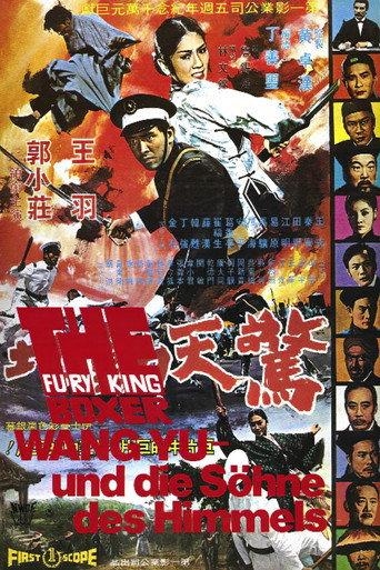 Fury of King Boxer (1972) poster
