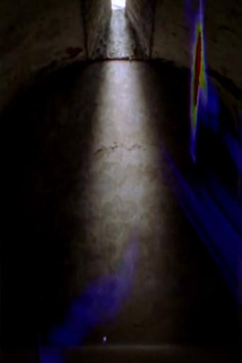The Blue Record (2013) poster