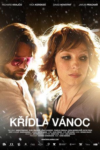 Wings of Christmas (2013) poster