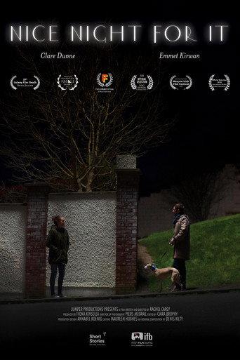 Nice Night for It (2017) poster