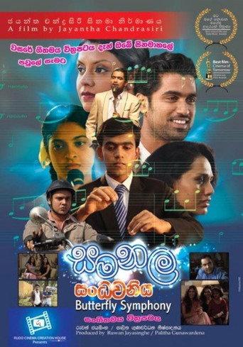 Butterfly Symphony (2013) poster