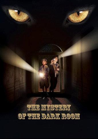 A Dark Room Mystery (2014) poster