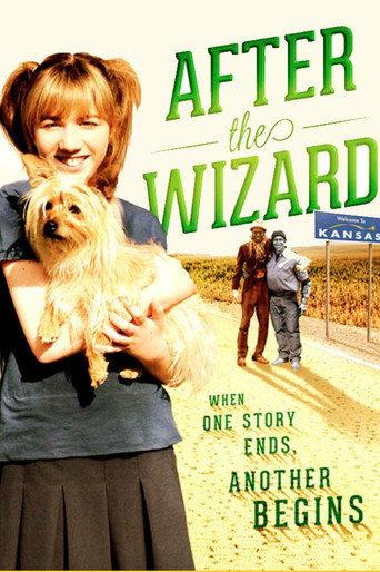 After the Wizard (2011) poster