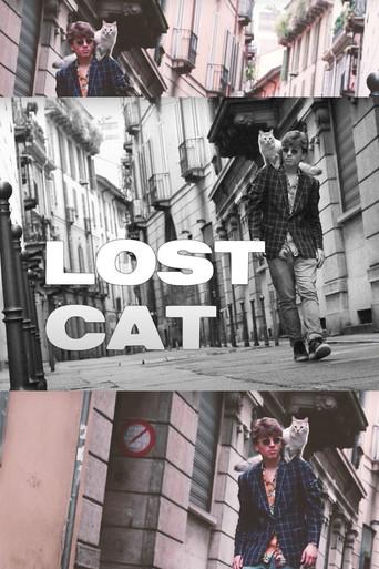 Lost Cat (2019) poster