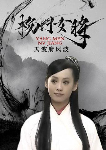 杨门女将之天波府风波 (2001) poster