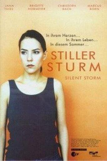 Silent Storm (2001) poster