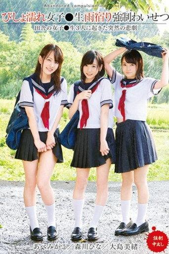 T28-523 Dripping Wet Girls Are Taking Shelter From The Rain And Receiving Sexual Harassment (2018) poster