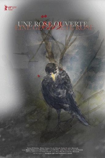 An Open Rose (2019) poster