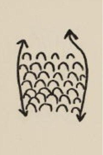 Projet Pour Un Poisson (1970) poster