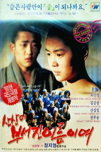 Beyond the Mountain (1991) poster