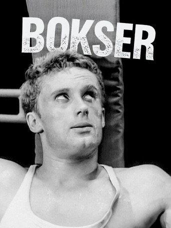 Boxer (1967) poster