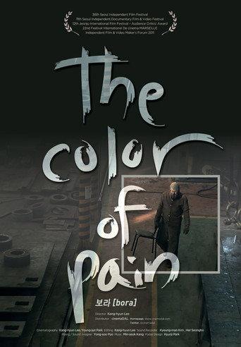 The Color of Pain (2011) poster