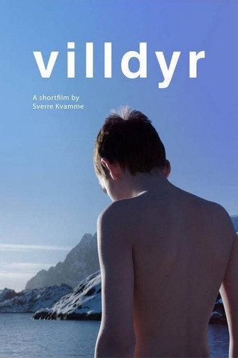 Wild Beasts (2017) poster