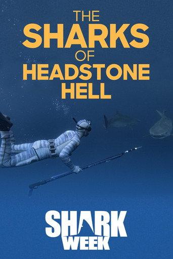 The Sharks Of Headstone Hell () poster