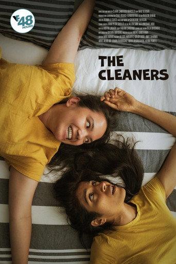 The Cleaners (2025) poster