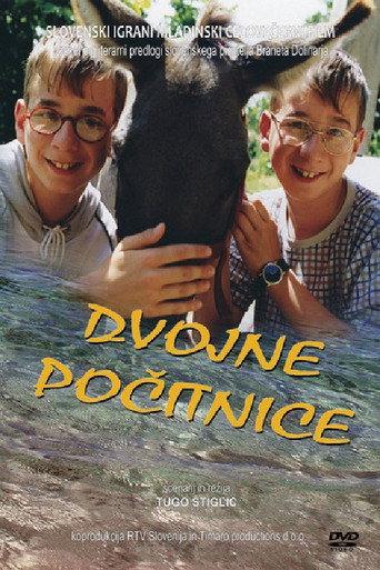 Double Holidays (2001) poster
