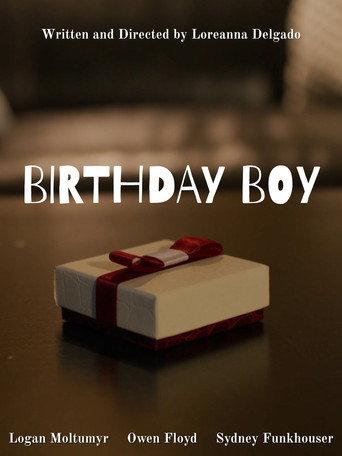 Birthday Boy () poster