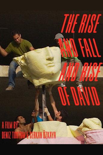 The Rise and Fall and Rise of David (2016) poster