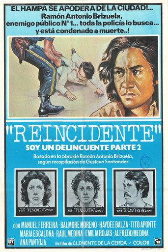 Second Offender (1977) poster