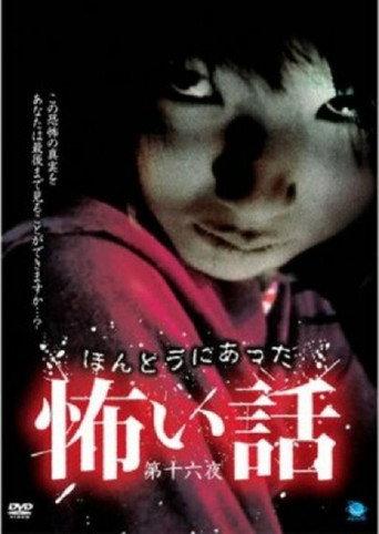 Scary True Stories: Night 16 (2010) poster