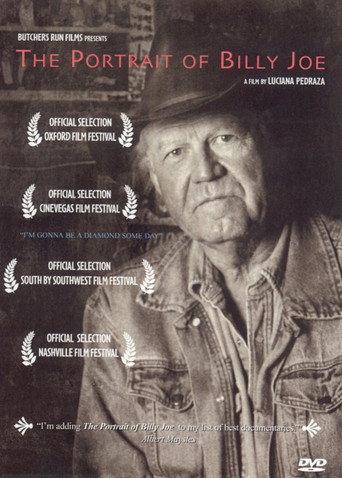 The Portrait of Billy Joe (2004) poster