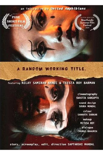A Random Working Title (2024) poster