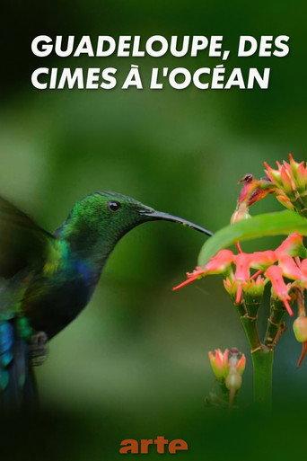 Guadeloupe, from Summits to Ocean (2019) poster