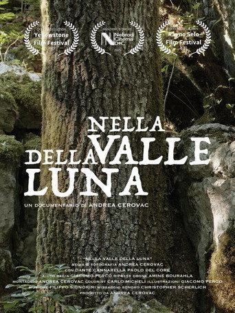 Nella Valle della Luna (2026) poster