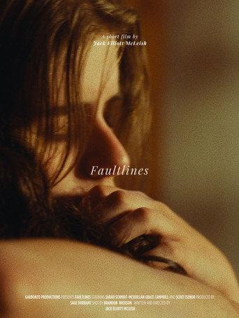 FAULTLINES () poster