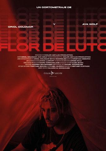 Flor de Luto (2020) poster