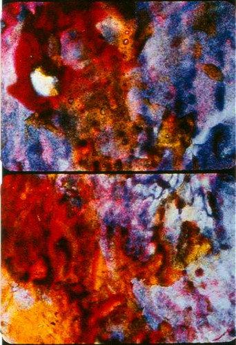 Ascension (2002) poster