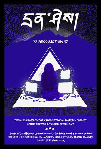 Recollection (2026) poster