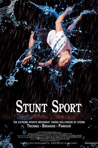 Stunt Sport (2014) poster