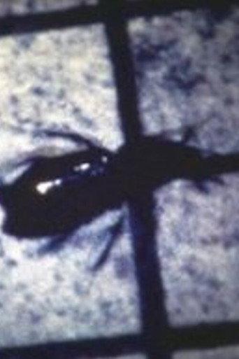 INSECT (1983) poster