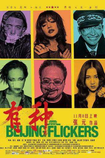 Beijing Flickers (2012) poster