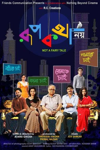 Not a Fairy Tale (2013) poster