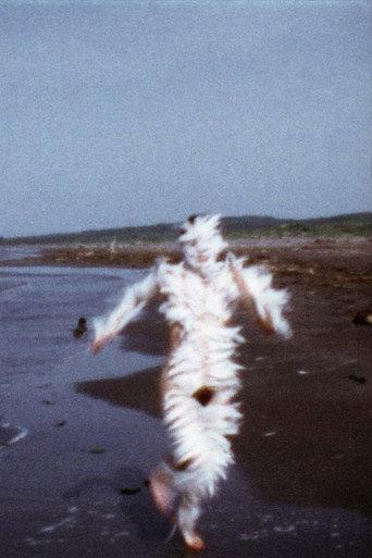 Bird Run (1974) poster