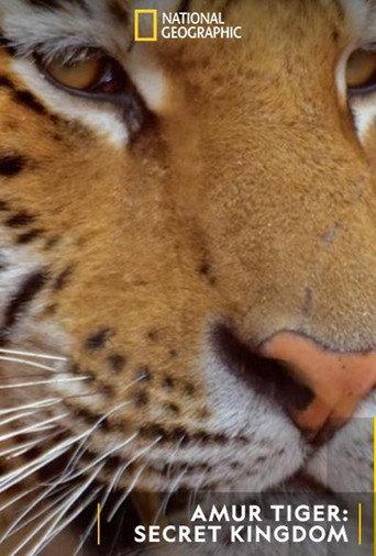 Siberian Tiger, The Secret Kingdom (2023) poster