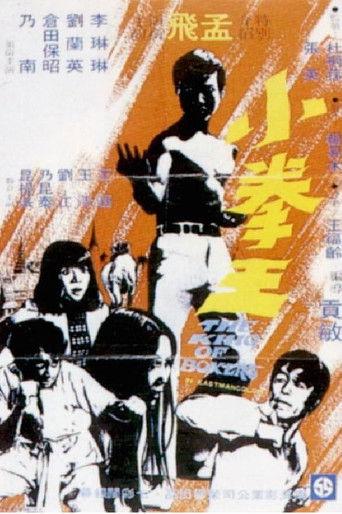 The King of Boxers (1972) poster