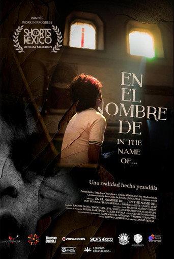 In the name of... (2025) poster
