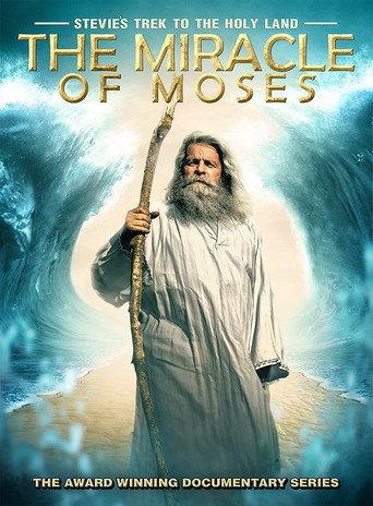 Stevie's Trek to the Holy Land: Miracle of Moses (2014) poster
